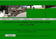 slow-images Slow-loading & distorted images.